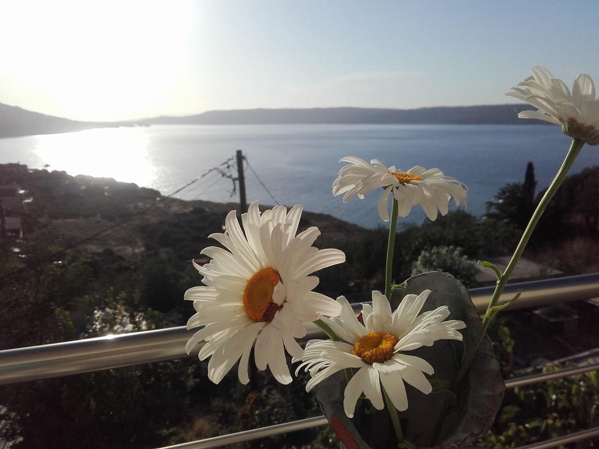 Olympic View Guesthouse Kalami  외부 사진